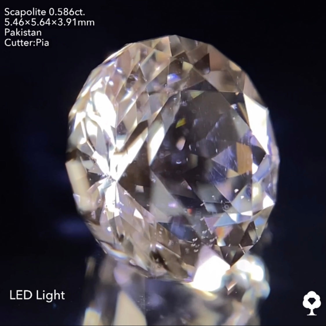 ギラギララウンドが蛍光して美しいたんぽぽになる★スキャポライト0.586ct ピアッちゃん作品