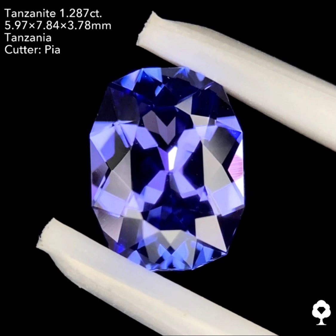 タンザナイト1.287ct. ファンシークッション ピアッちゃん作品