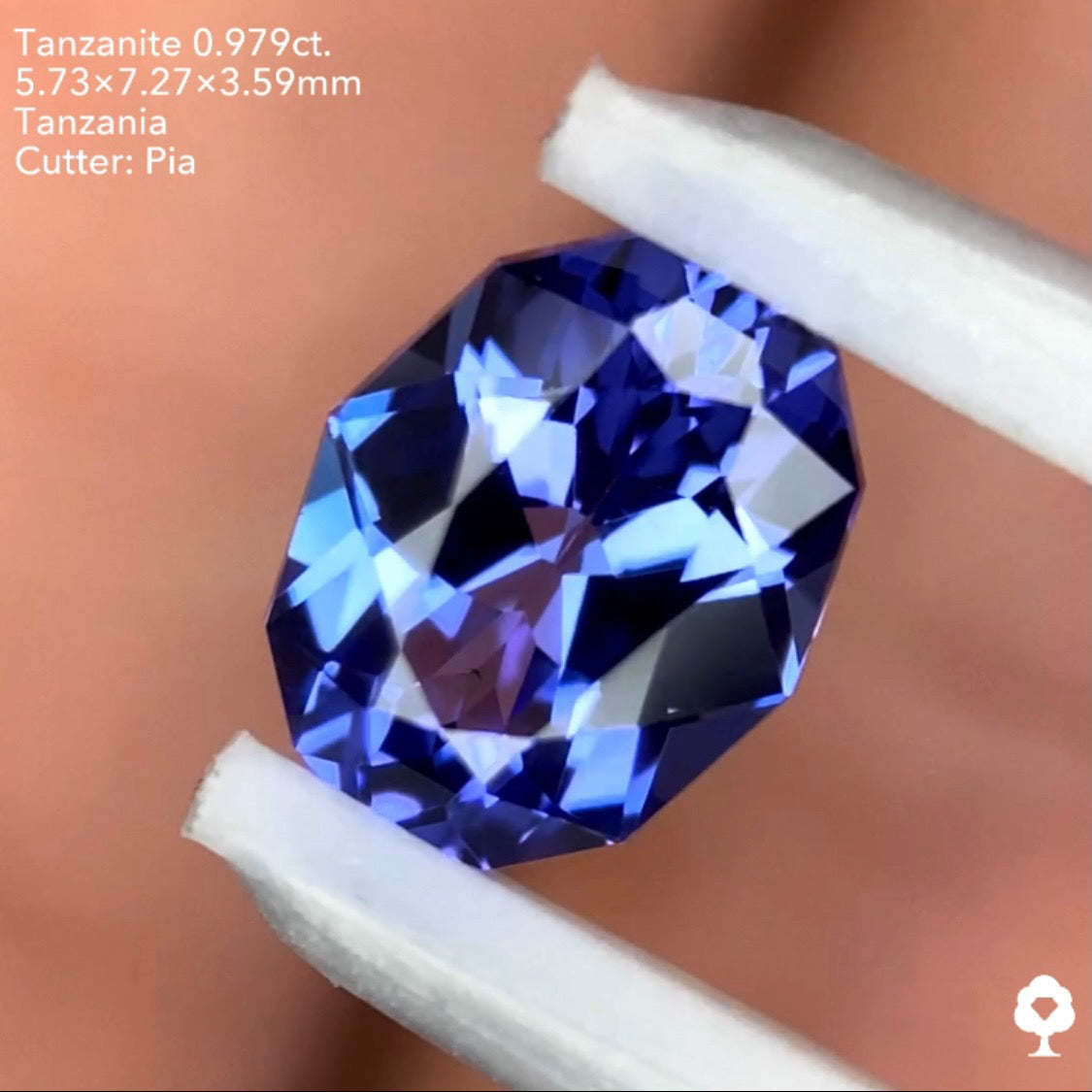 タンザナイト0.979ct. ファンシーオーバル ピアッちゃん作品