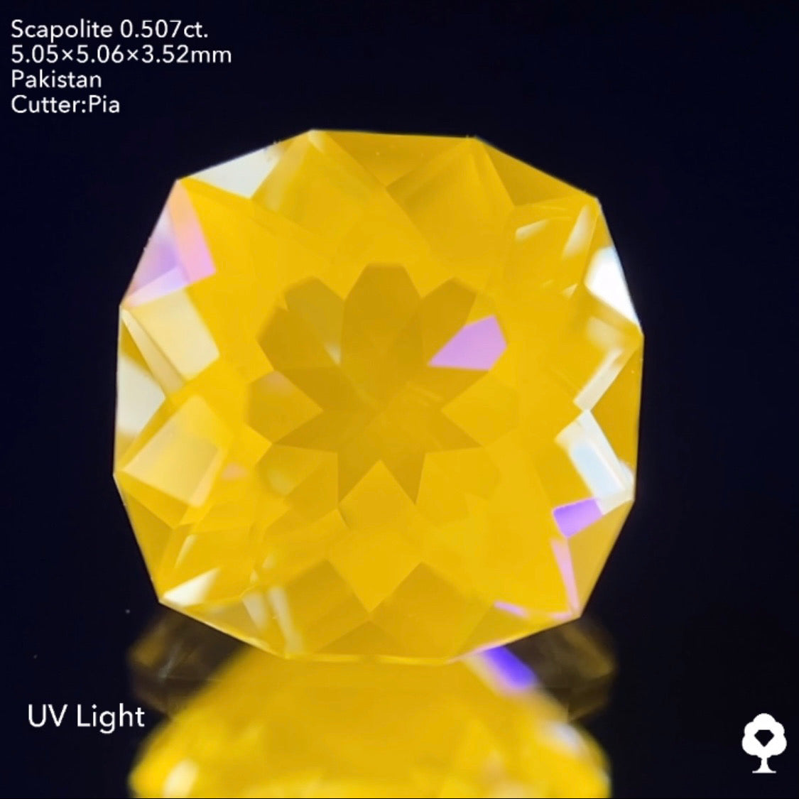 【お客さま専用】スキャポライト0.507ct ピアッちゃん作品 ★お問い合わせ特別価格★