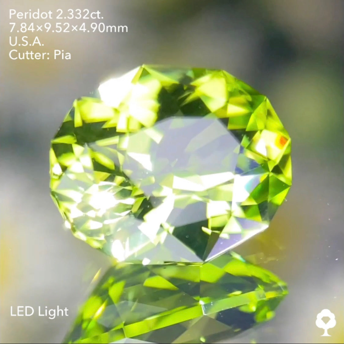 ファンシーオーバルの2ステップクラウンがピアッちゃんの進化を感じる美結晶★ペリドット2.332ct. アメリカ産 ピアッちゃん作品