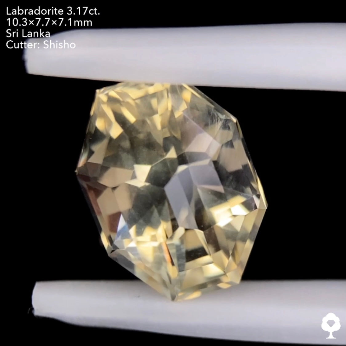 【このカット残り1石】盾のようなテーブルなしの独創的カット★ゴールデンラブラドライト3.17ct. 師匠作品
