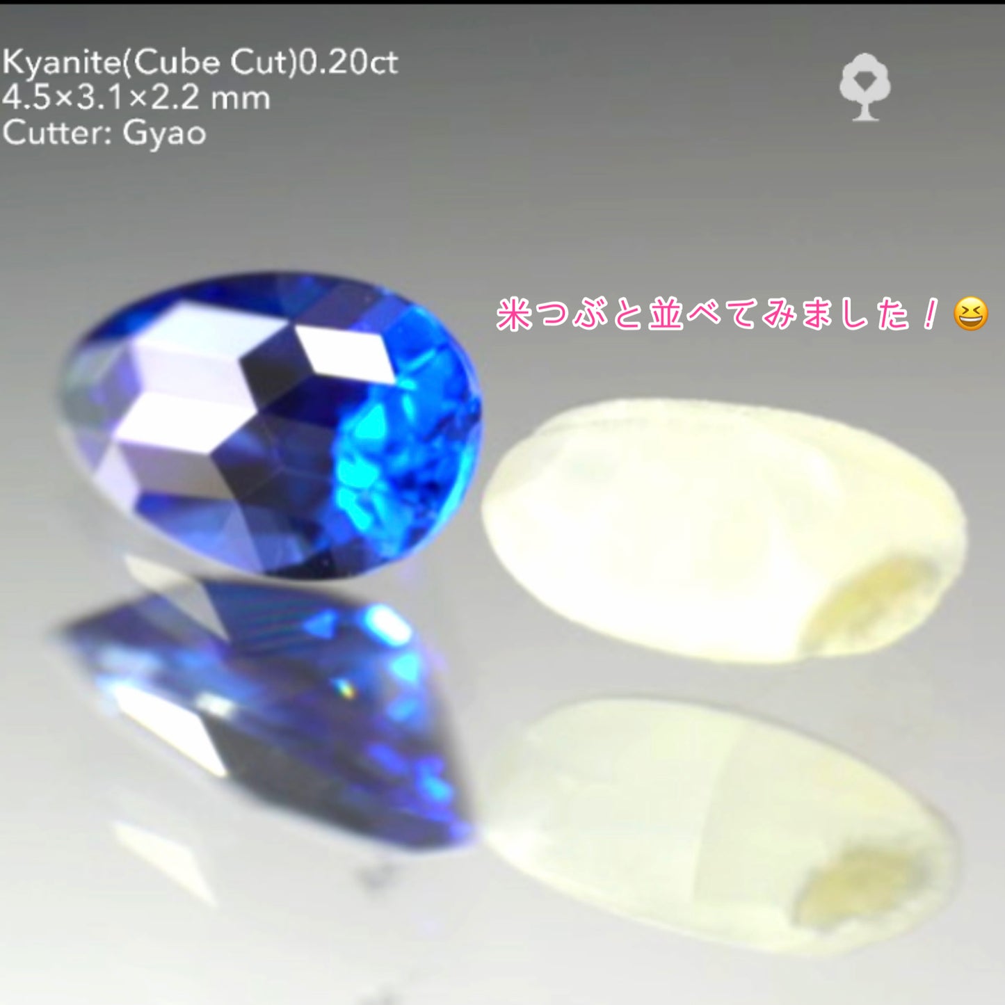 【11ZBご利用価格 専用ページ】【キューブスター】米粒と比較してみました❗️丸みを加えた“変形ペアシェイプ”カイヤナイト 0.20ct✨ゲオちゃん作品
