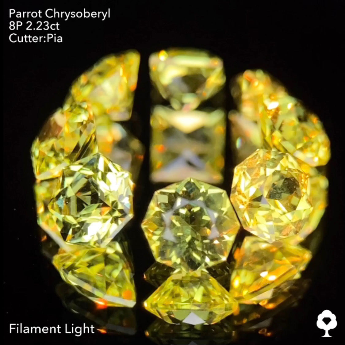 【9/1(木)終了‼️1ヶ月オークション】パロットクリソベリル2.23ct. ピアッちゃん作品