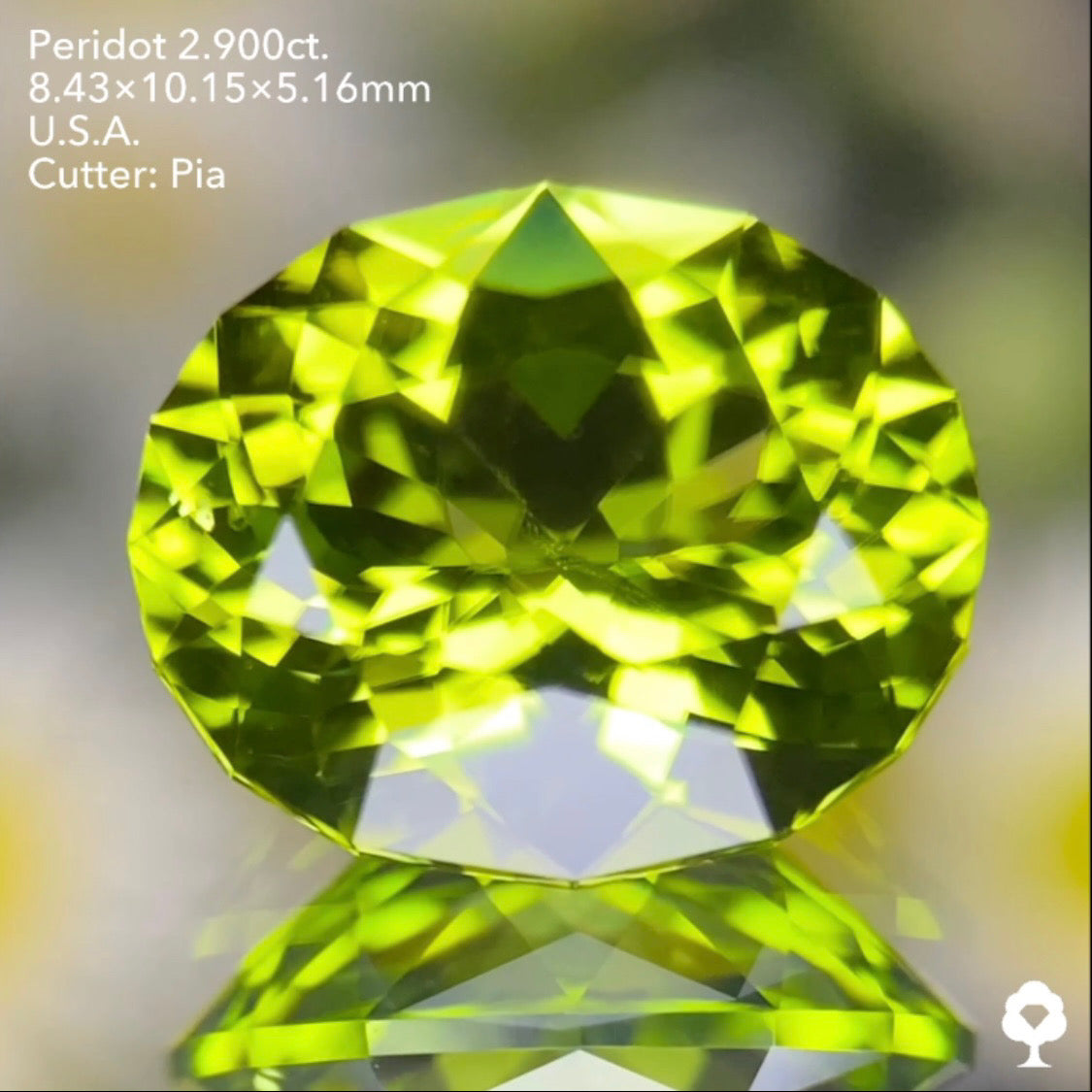 さりげなく浮かぶリリーパッドが可愛い青みある美グリーンの美結晶★ペリドット2.900ct. アメリカ産 ピアッちゃん作品