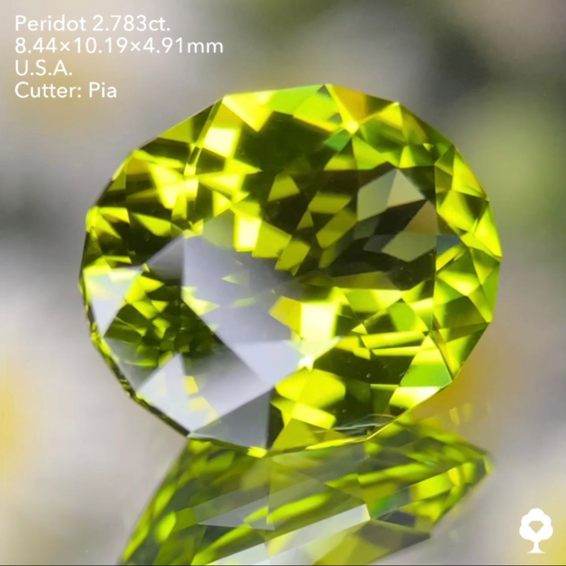 【5万円スタート❗️2023カウントダウン逆オークション】美色高品質のコレぞピアッちゃんの王道ファンシーオーバル★ペリドット2.783ct. アメリカ産 ピアッちゃん作品