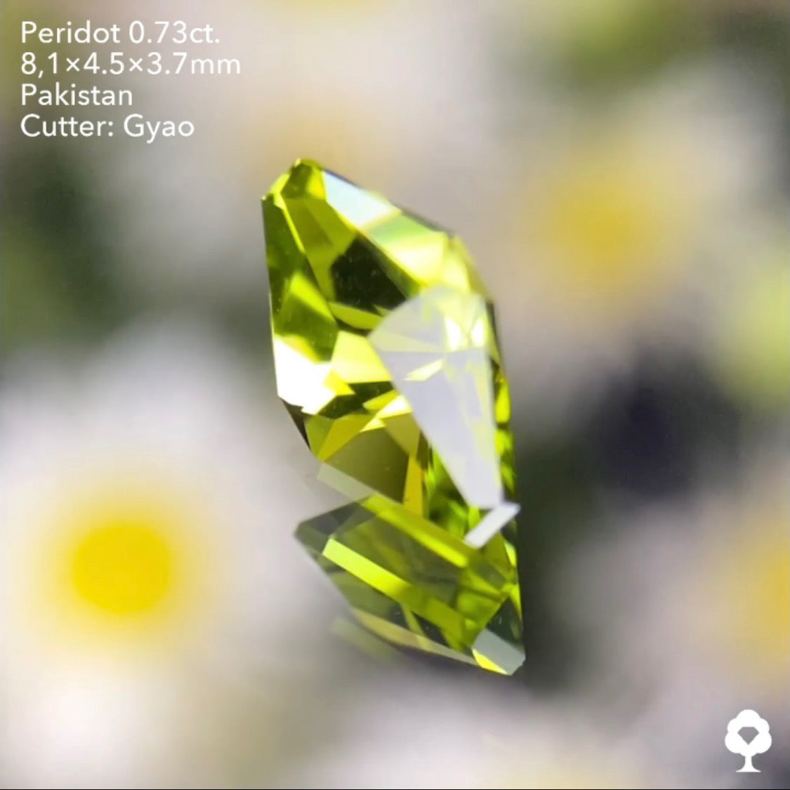 点対象の独創的すぎるゲオちゃんファンシーカイトペリドット0.73ct パキスタン産 ゲオちゃん作品
