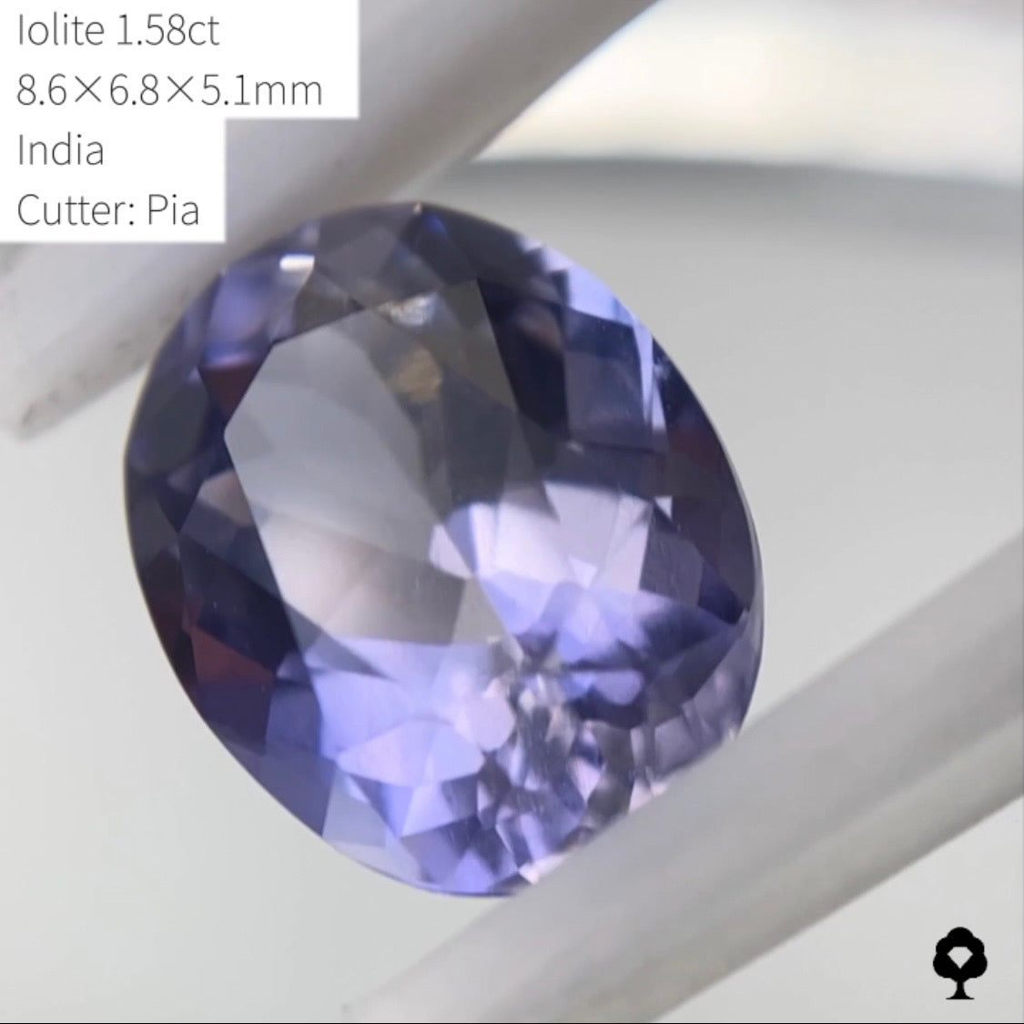 【SOLD OUT】★ゲームオーバーのたびに安くなる逆オークション★アイオライト1.58ct ピアッちゃん作品 4/3サイレンGAME配信