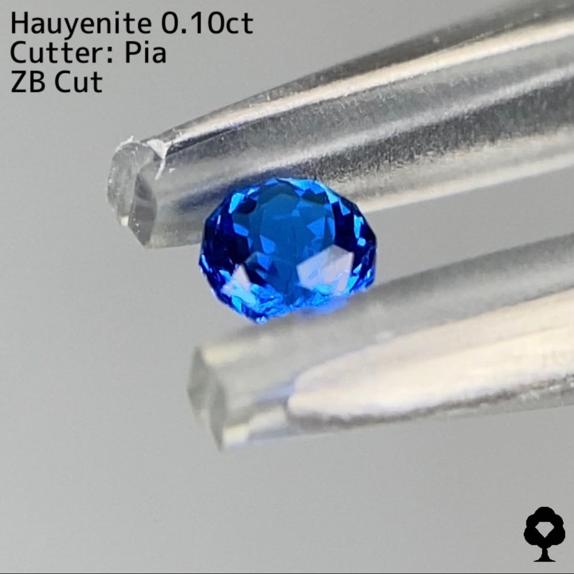 【ZBカット】アウィンナイト0.100ct. ピアッちゃん作品