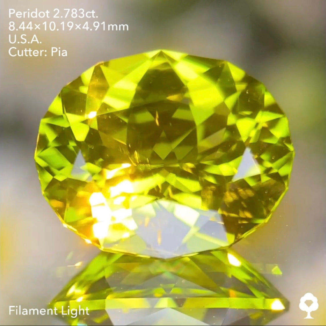 【5万円スタート❗️2023カウントダウン逆オークション】美色高品質のコレぞピアッちゃんの王道ファンシーオーバル★ペリドット2.783ct. アメリカ産 ピアッちゃん作品