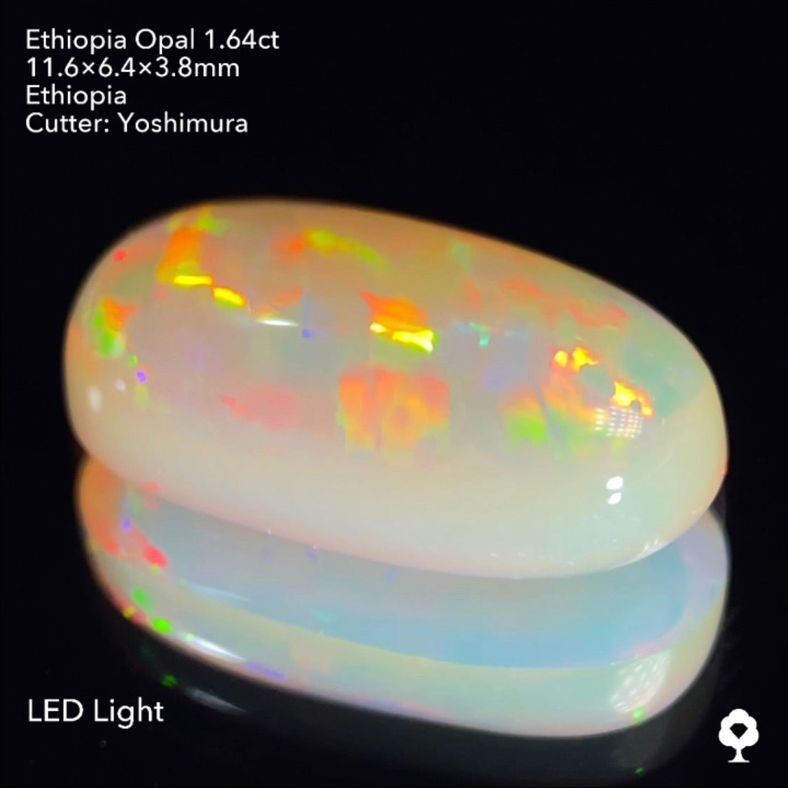 実はハニカムも浮かぶコッペパンのような可愛い形に登る遊色★エチオピアオパール1.64ct 吉村作品