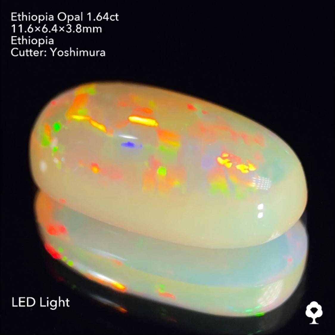 実はハニカムも浮かぶコッペパンのような可愛い形に登る遊色★エチオピアオパール1.64ct 吉村作品