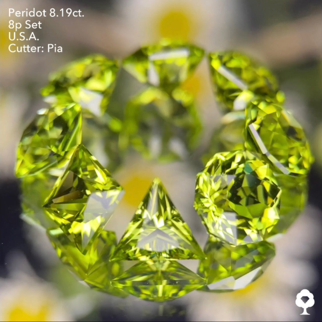 大きさ・クラリティ・輝き抜群の多角形セットはペリ好きの決定版★ペリドット8個多角形セット 計8.19ct. アメリカ産 ピアッちゃん作品