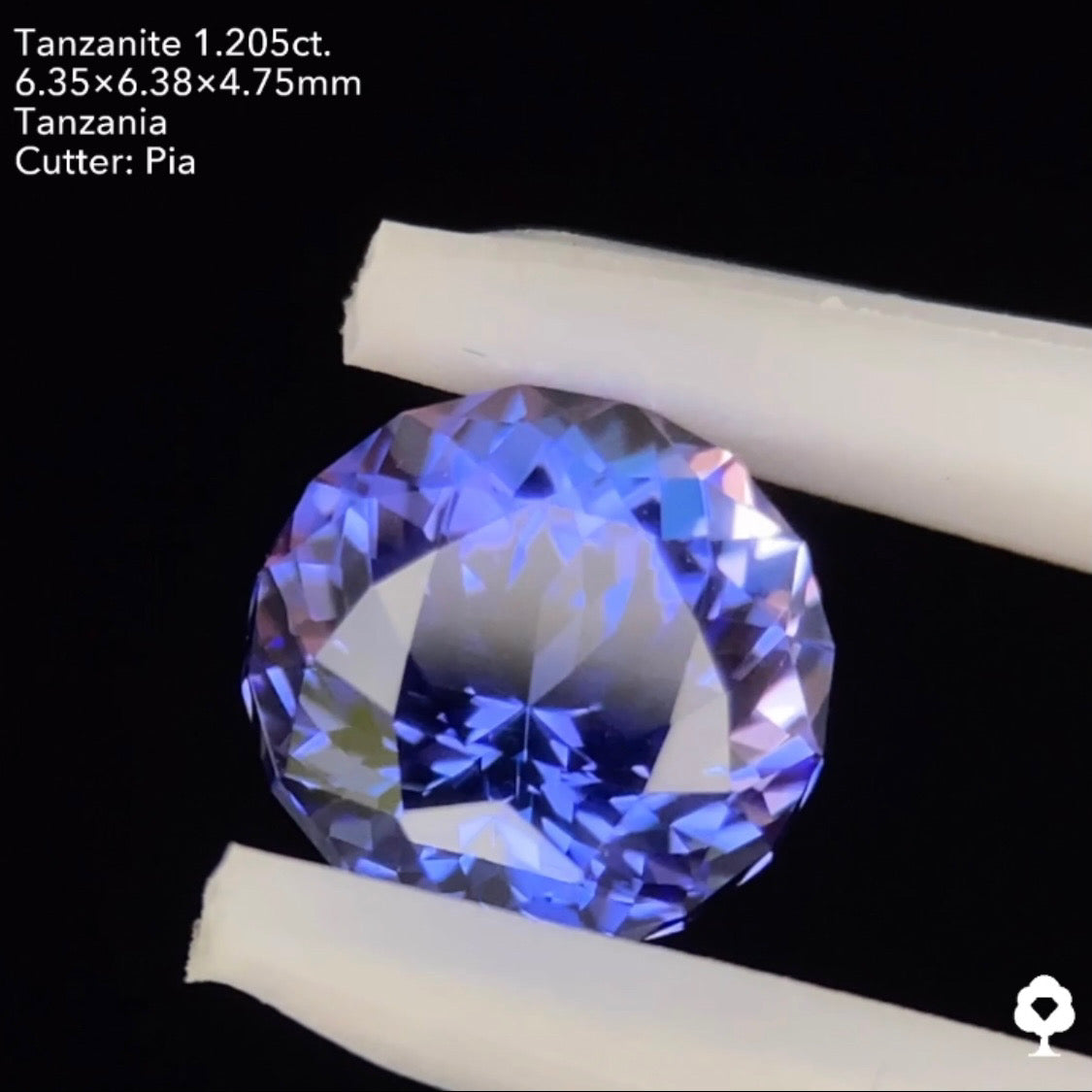 タンザナイト1.205ct. ファンシーラウンド ピアッちゃん作品