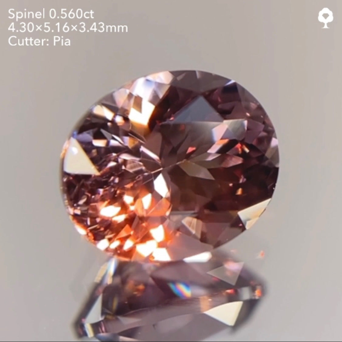 【23時終了‼️サンドウィッチオークション】潤めく美秋色を先取り🍂🍇🍁ブラウニッシュパープルスピネル0.560ct ピアッちゃん作品