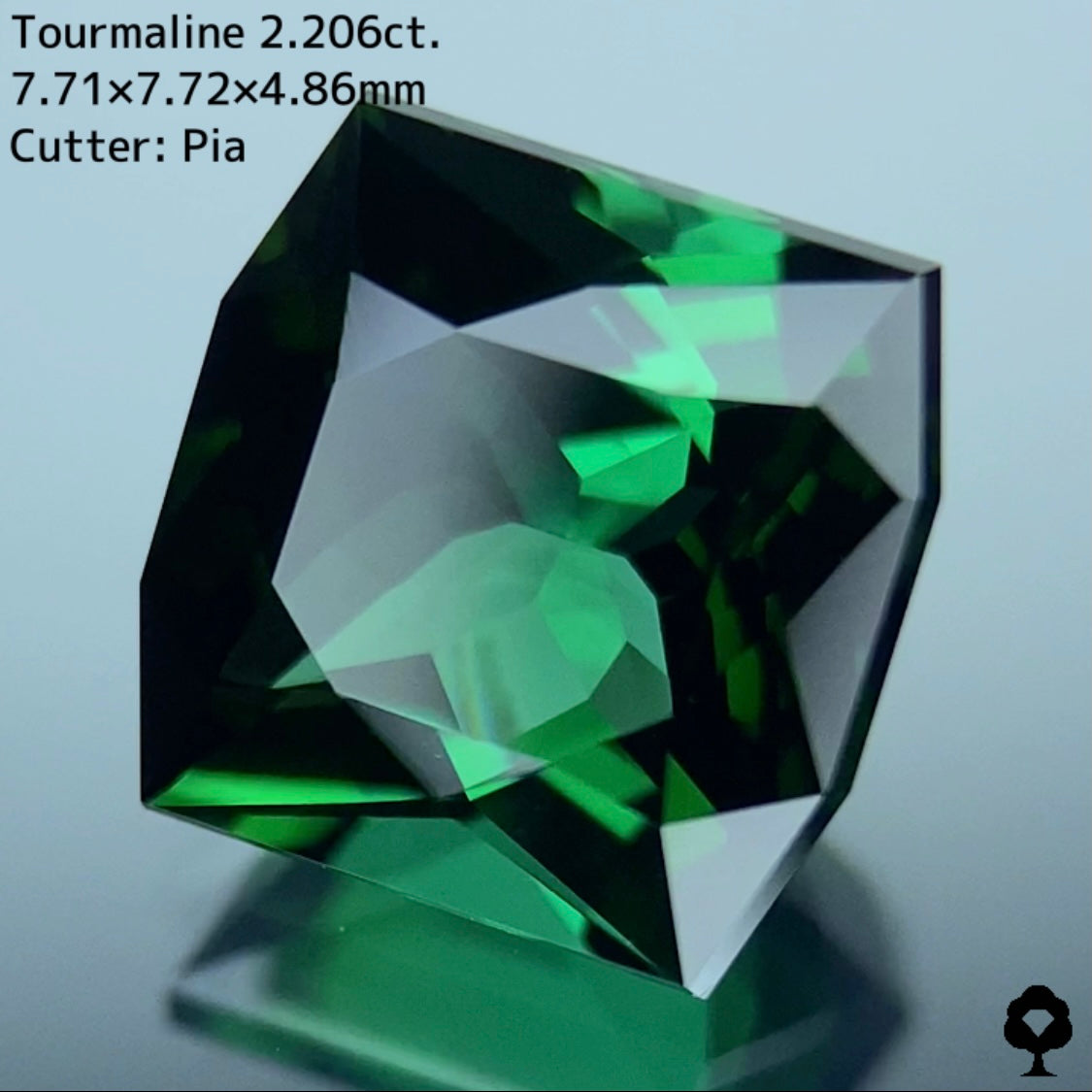 貫禄あるユニークなカタチのオクタゴンに仕上げられた正統派グリーン★トルマリン 2.206ct