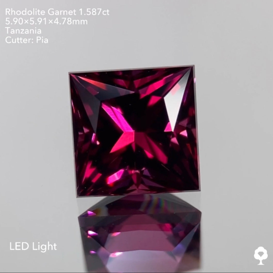 【GTJウェブサイト個展プライス】濃厚美色から鮮やかで鋭い煌めきを放つプリンセス★ロードライトガーネット1.587ct ピアッちゃん作品