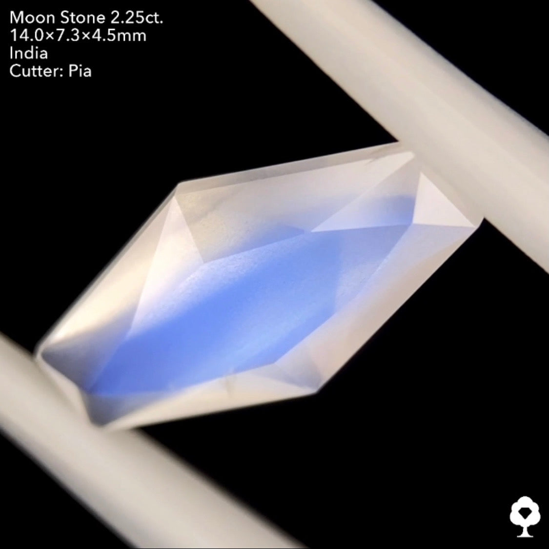 6/12(日)22:00終了‼️テーブルから溢れ出すブルーシラーと幻想的な石質のカッコいいファンシーカイト★ムーンストーン2.25ct. ピアッちゃん作品