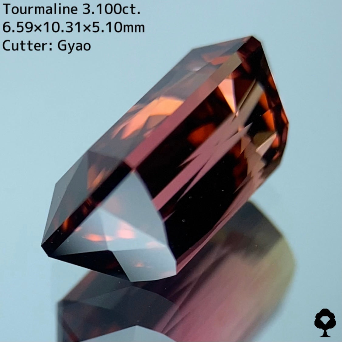 大人可愛いピンクからゴールドへのグラデーションにシザースの圧倒的な輝き★トルマリン 3.100ct