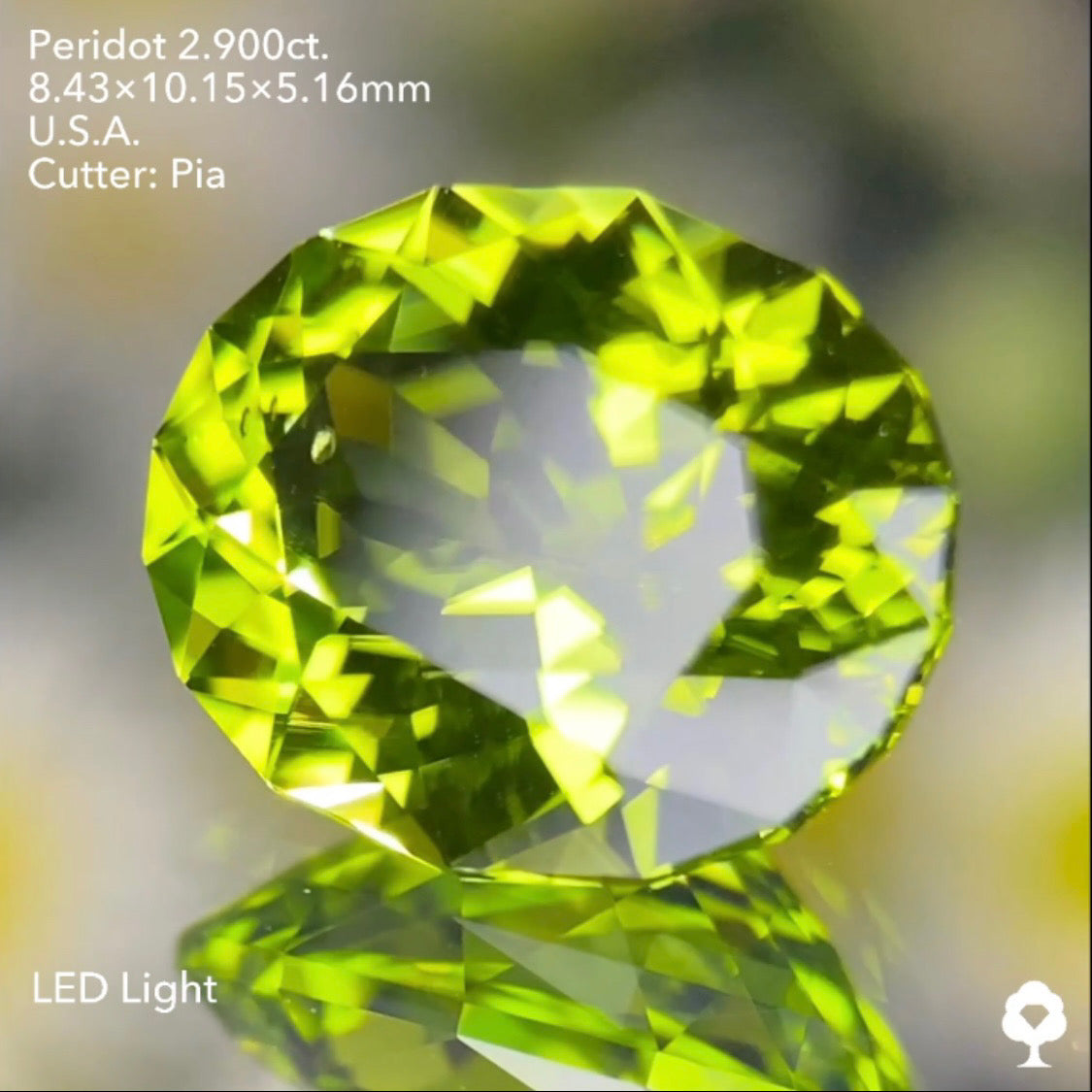 さりげなく浮かぶリリーパッドが可愛い青みある美グリーンの美結晶★ペリドット2.900ct. アメリカ産 ピアッちゃん作品