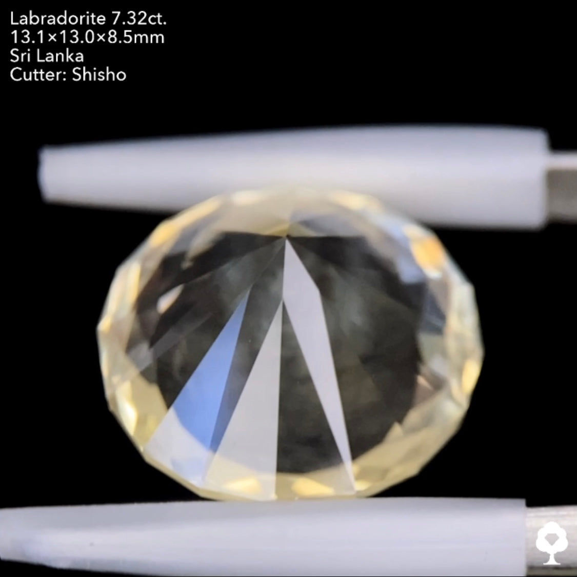 打ち上げ花火のようなシラーの3ステップクラウンファンシーラウンド★ゴールデンラブラドライト7.32ct. 師匠作品