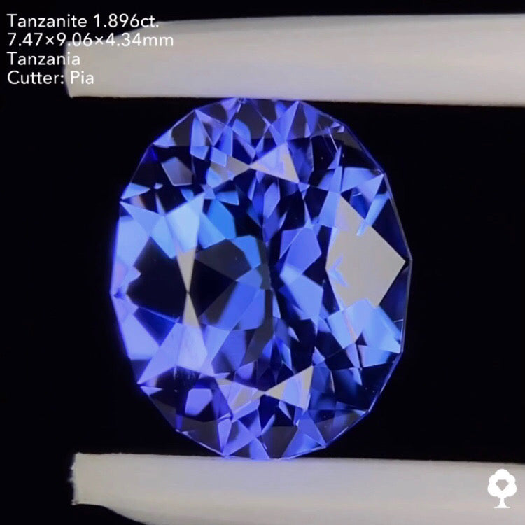 タンザナイト1.896ct. ファンシーオーバル ピアッちゃん作品
