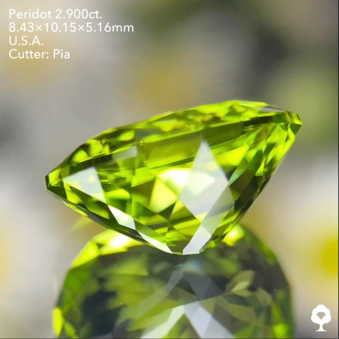 さりげなく浮かぶリリーパッドが可愛い青みある美グリーンの美結晶★ペリドット2.900ct. アメリカ産 ピアッちゃん作品