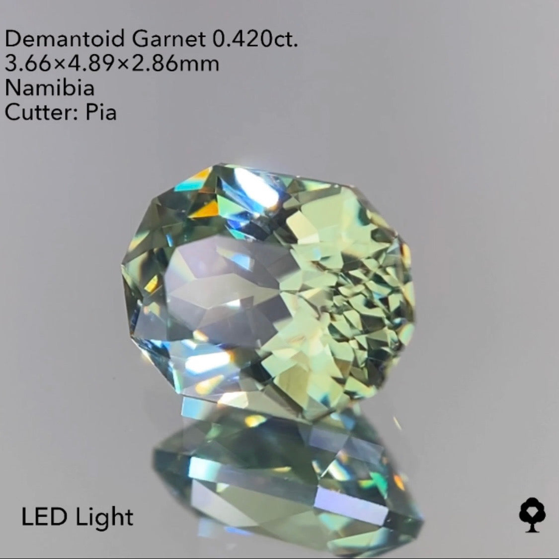 【SOLD OUT】ナミビアデマントイドガーネット0.420ct ピアッちゃん作品 4/4チャットオークション