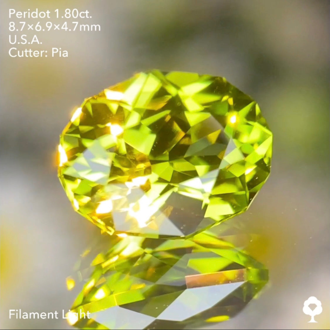 【お客さま専用・誕生石プレゼント】ペリドット1.80ct ピアッちゃん作品