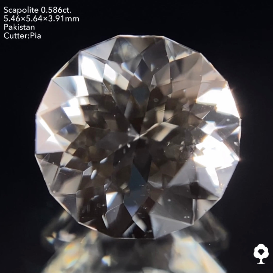 ギラギララウンドが蛍光して美しいたんぽぽになる★スキャポライト0.586ct ピアッちゃん作品