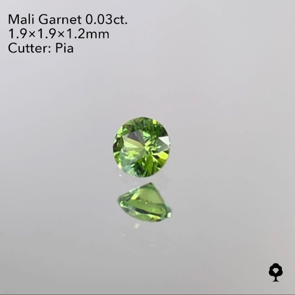 【SOLD OUT】マリガーネット 0.03ct  1/29ライブご紹介作品