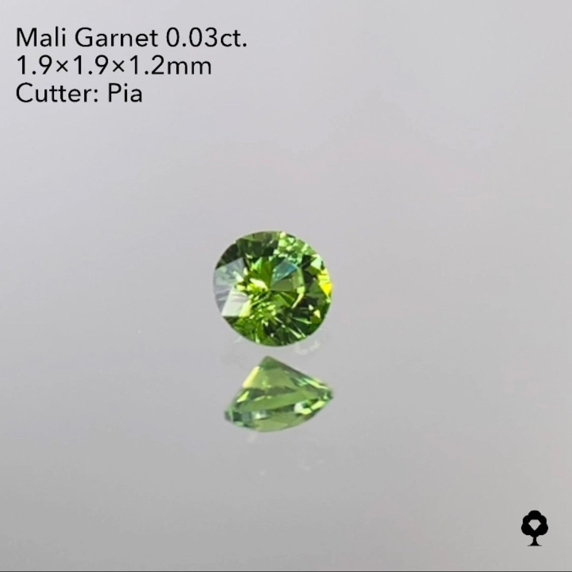 【SOLD OUT】マリガーネット 0.03ct  1/29ライブご紹介作品