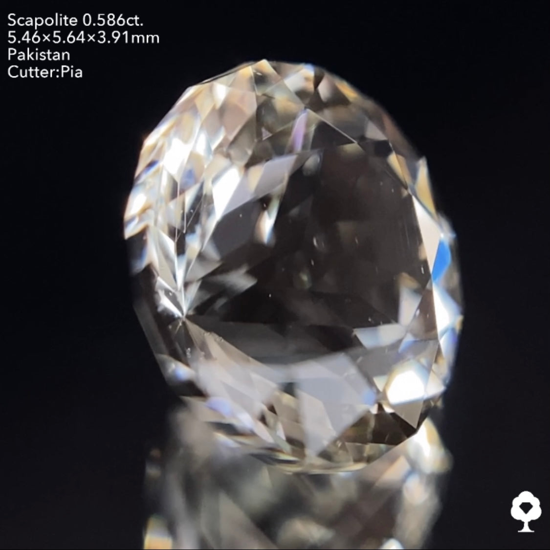 ギラギララウンドが蛍光して美しいたんぽぽになる★スキャポライト0.586ct ピアッちゃん作品