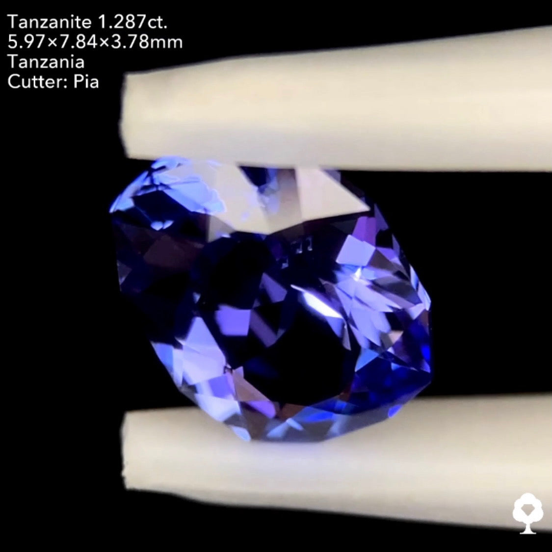 タンザナイト1.287ct. ファンシークッション ピアッちゃん作品