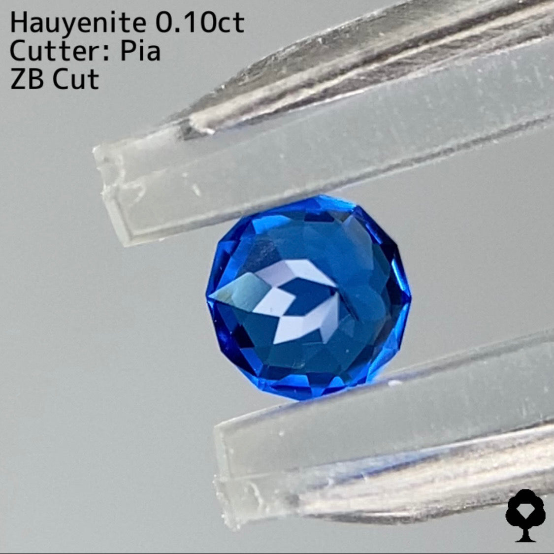 【ZBカット】アウィンナイト0.100ct. ピアッちゃん作品