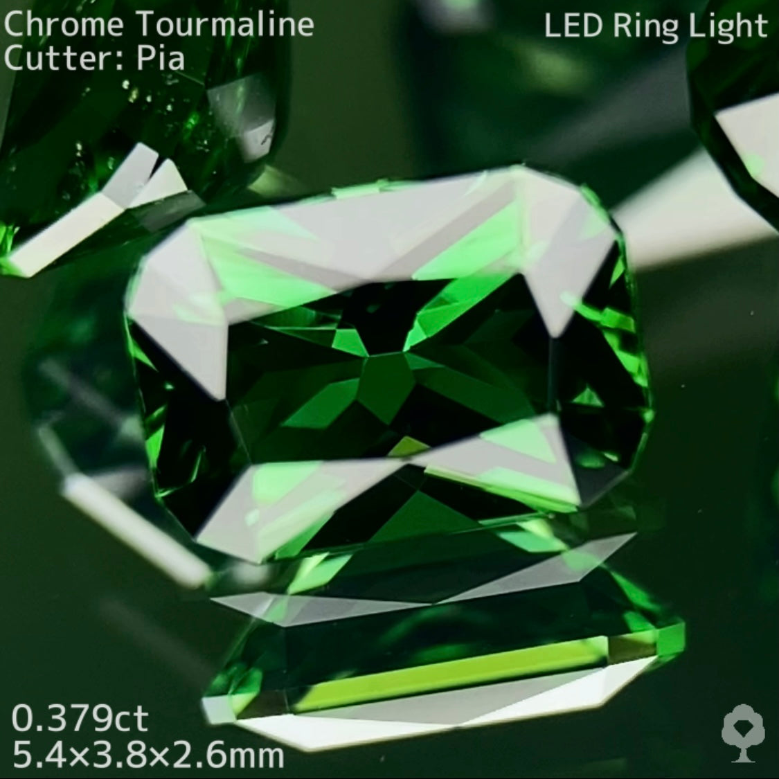 【高級プチプラ】クロムトルマリン 0.379ct