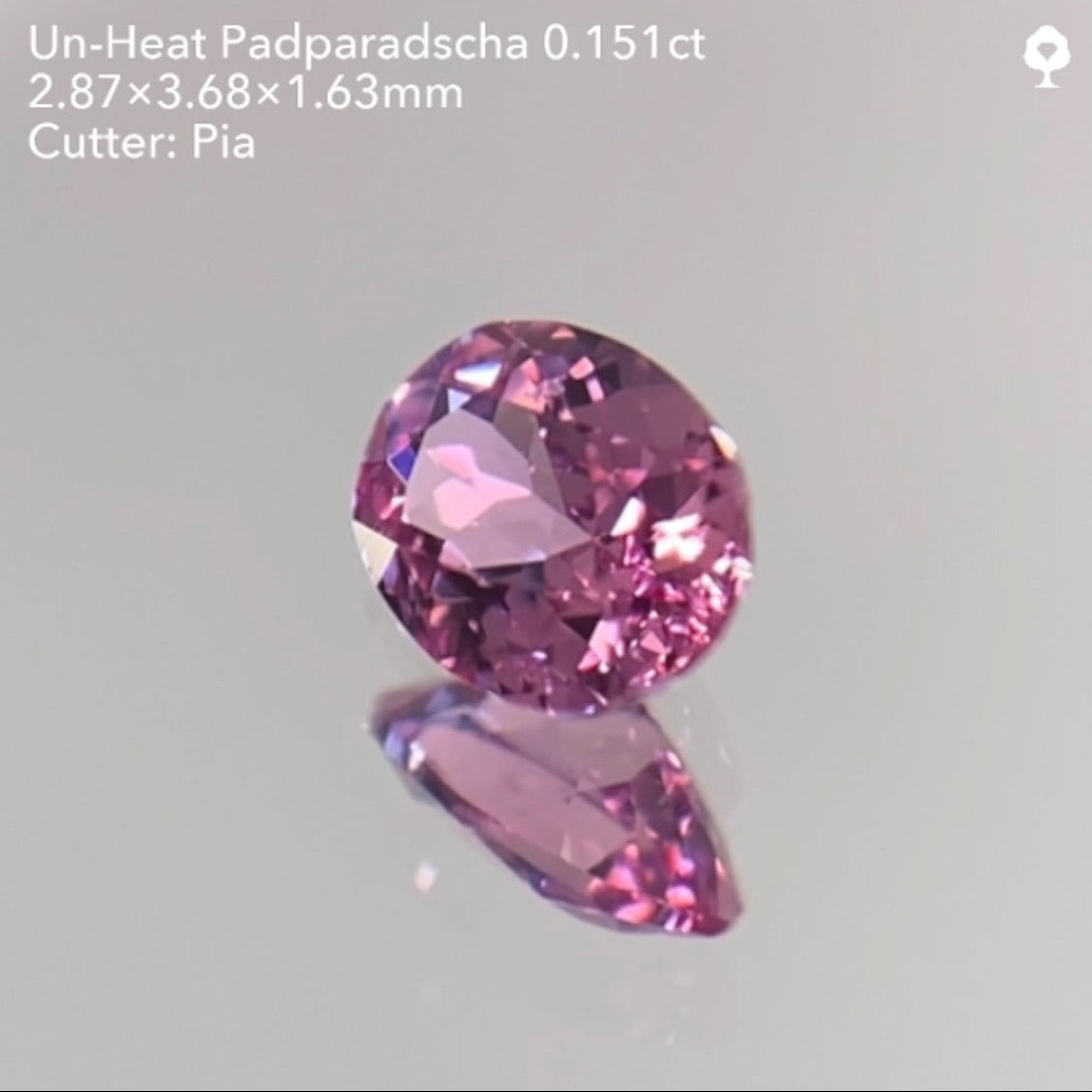 【SOLD OUT】非加熱パパラチァサファイア0.151ct/ピアッちゃん作品 ★11/11ハラキリ1円オークションライブ★クーポンはごめんなさい🙇♂️