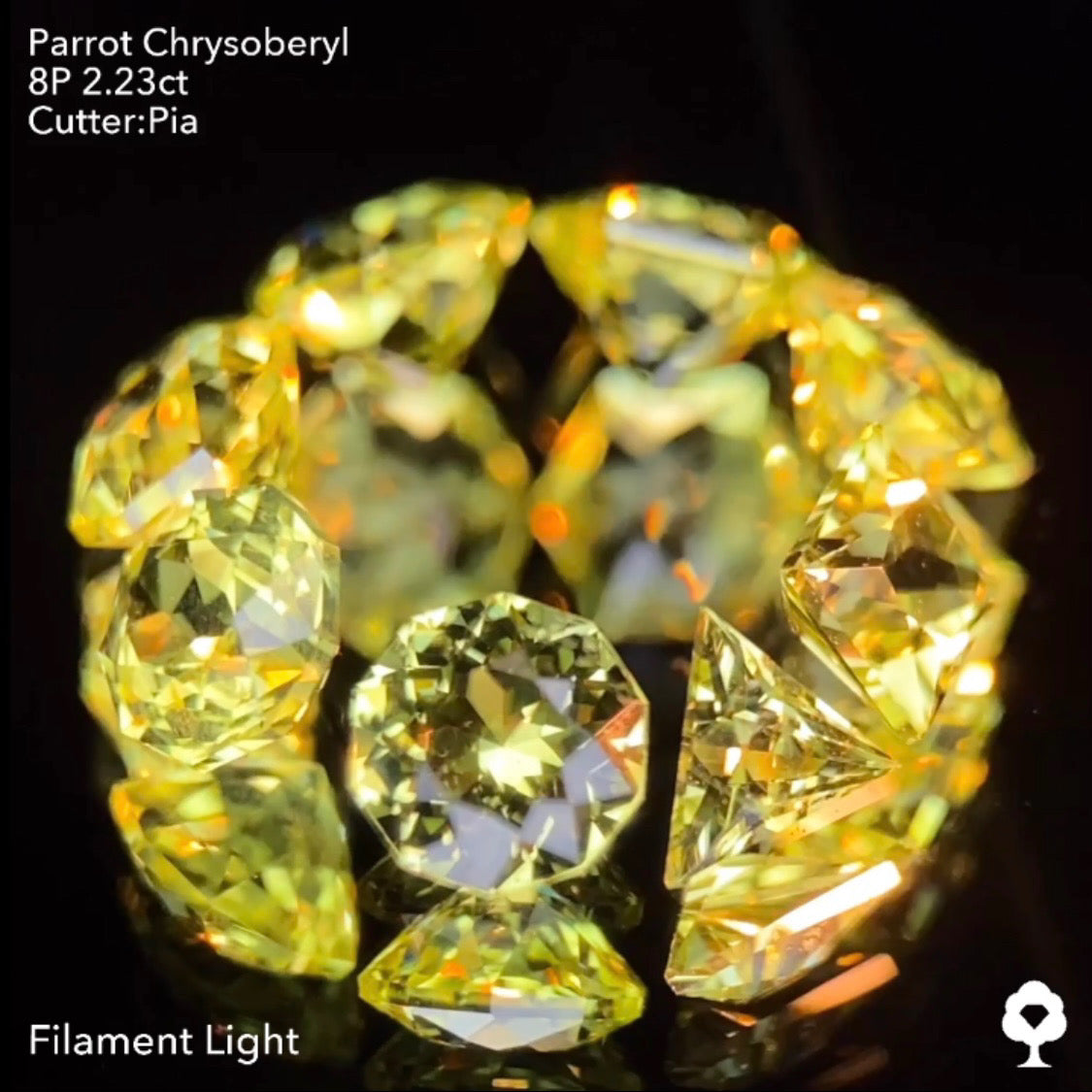 【9/1(木)終了‼️1ヶ月オークション】パロットクリソベリル2.23ct. ピアッちゃん作品