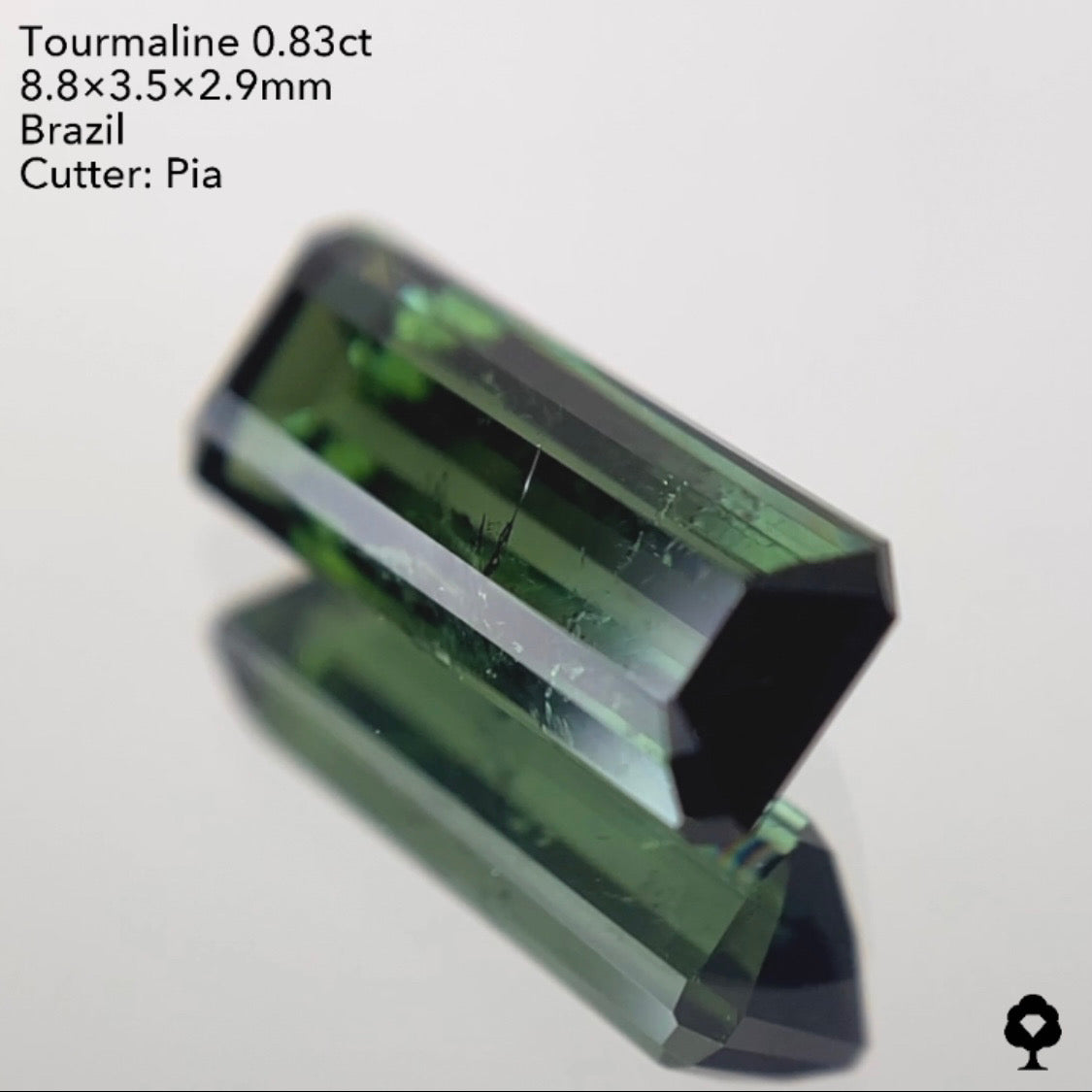 【ご落札者さま専用】トルマリン0.83ct 4/15チャットオークション