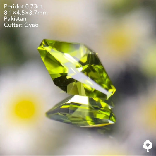 点対象の独創的すぎるゲオちゃんファンシーカイトペリドット0.73ct パキスタン産 ゲオちゃん作品