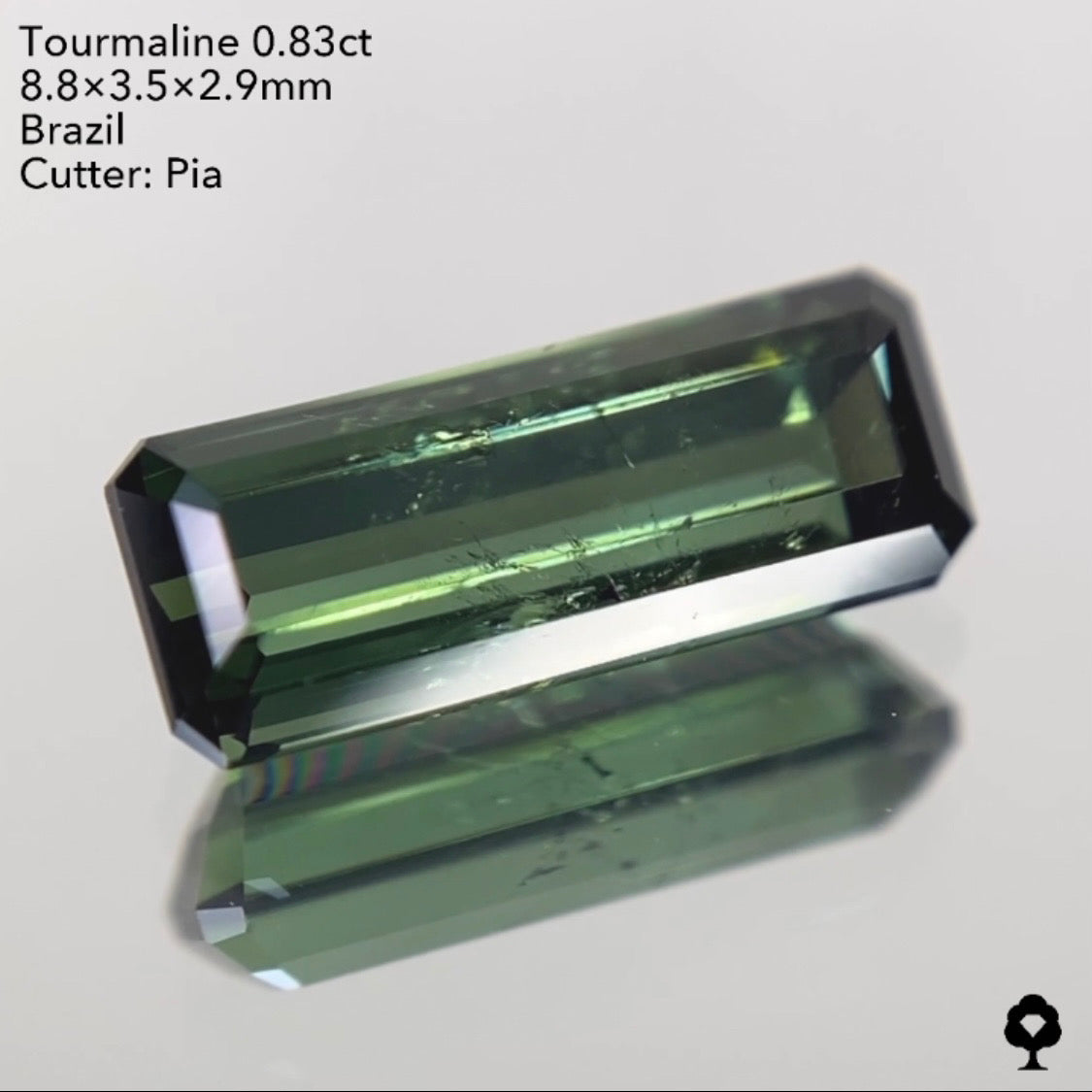 【ご落札者さま専用】トルマリン0.83ct 4/15チャットオークション