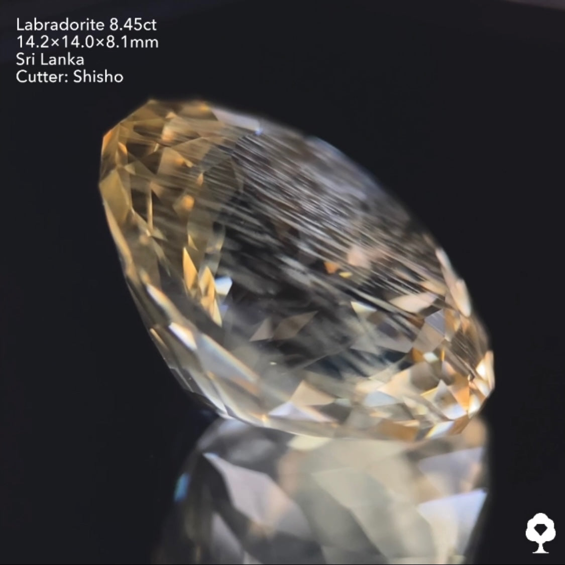 雨降りシラーが潜む大輪の花ファンシーラウンド★ラブラドライト8.45ct 師匠作品