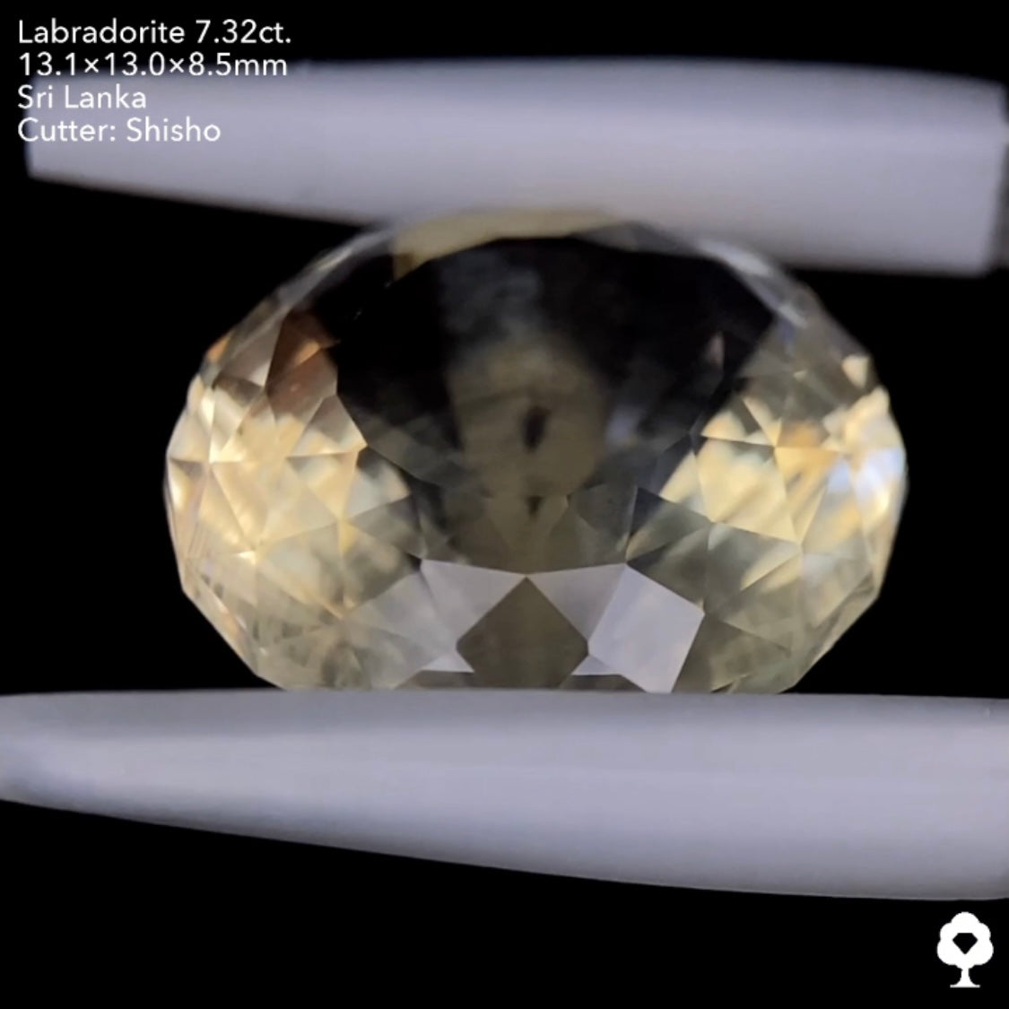 打ち上げ花火のようなシラーの3ステップクラウンファンシーラウンド★ゴールデンラブラドライト7.32ct. 師匠作品