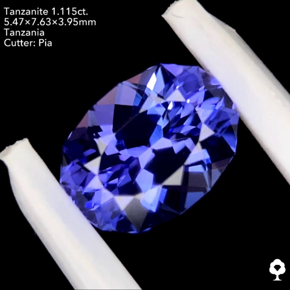 タンザナイト1.115ct. ファンシーオーバル ピアッちゃん作品