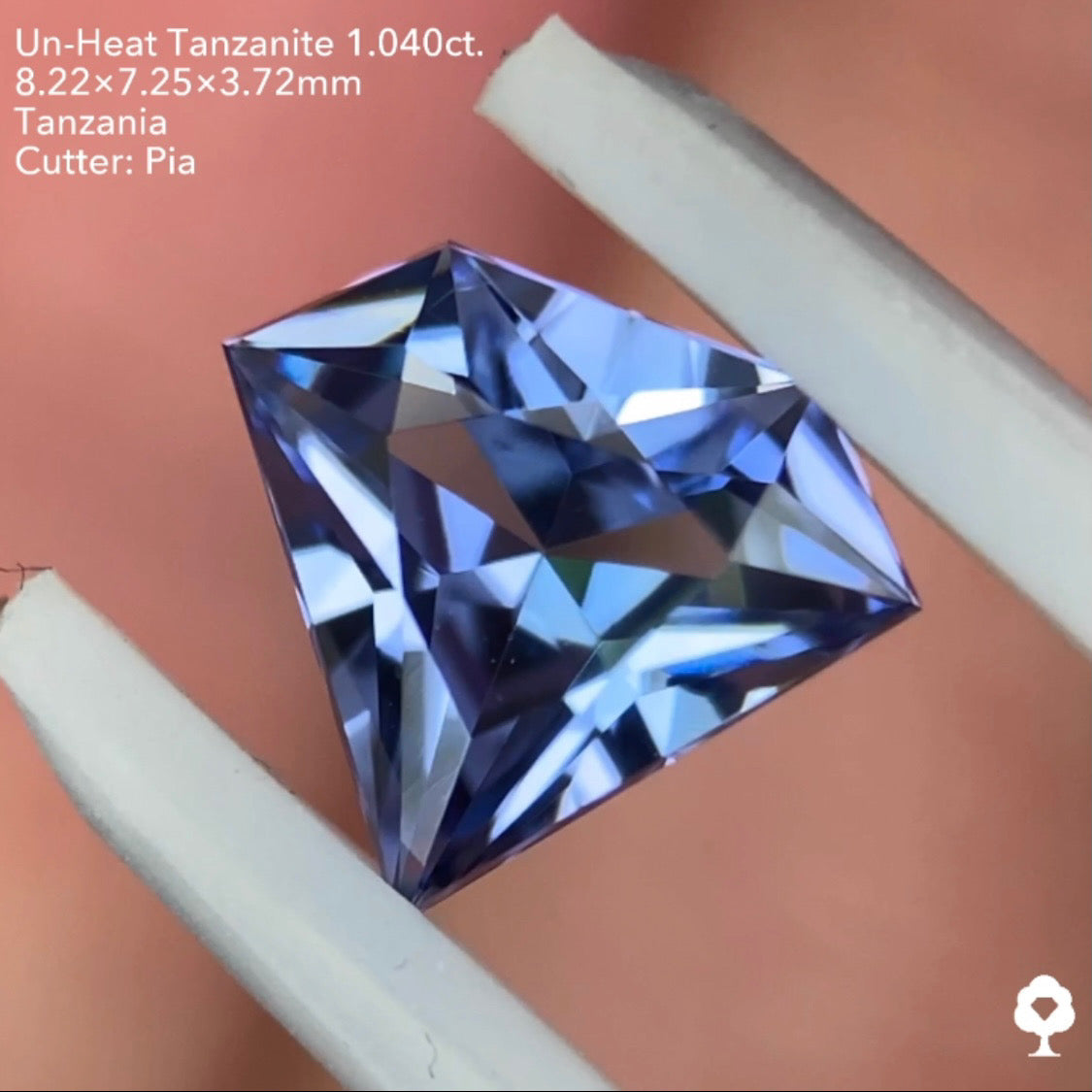 非加熱タンザナイト1.040ct. 宝石形 ピアッちゃん作品