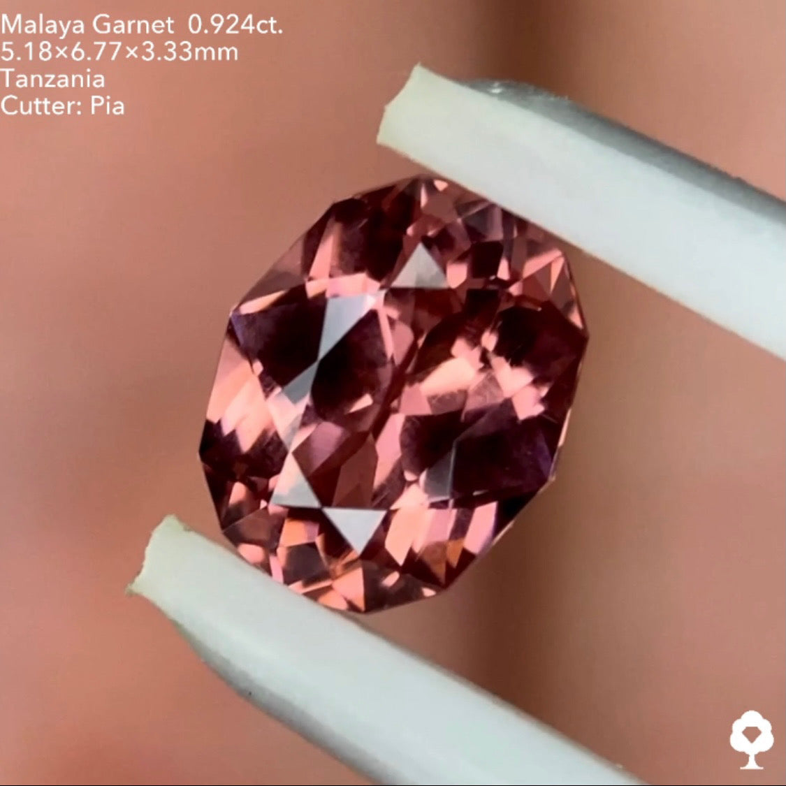 【SOLD OUT】マラヤガーネット0.924ct. ピアッちゃん作品