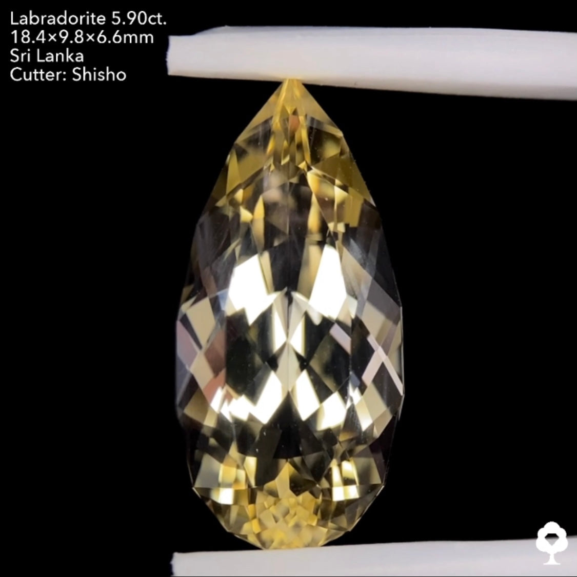 【SOLD OUT】圧倒的な存在感と細やかな煌めきを放つロングファンシーペアシェイプ★ラブラドライト5.90ct. 師匠作品★お問合せ特別価格★