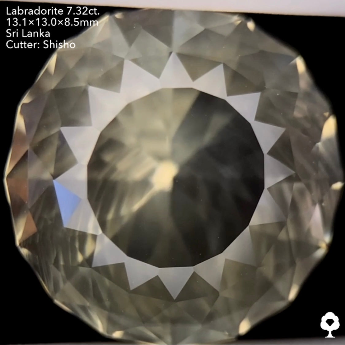 打ち上げ花火のようなシラーの3ステップクラウンファンシーラウンド★ゴールデンラブラドライト7.32ct. 師匠作品