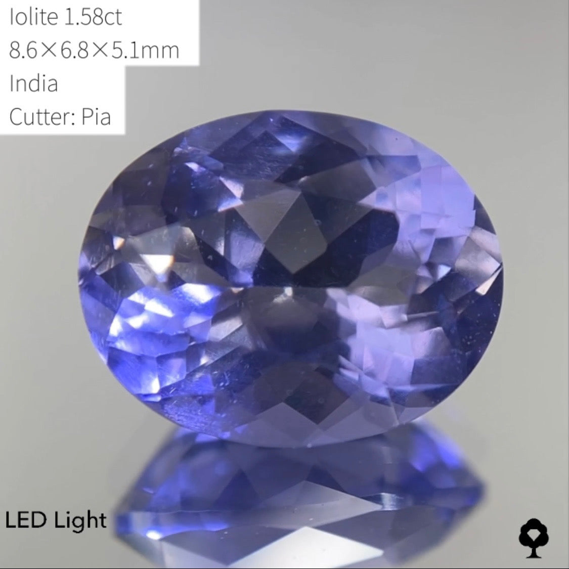 【SOLD OUT】★ゲームオーバーのたびに安くなる逆オークション★アイオライト1.58ct ピアッちゃん作品 4/3サイレンGAME配信