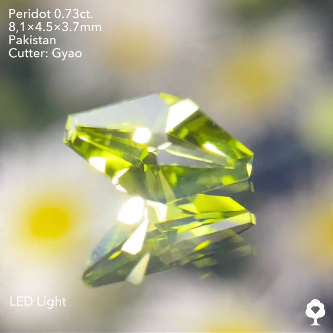点対象の独創的すぎるゲオちゃんファンシーカイトペリドット0.73ct パキスタン産 ゲオちゃん作品